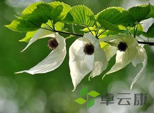 360截图20221203211456828