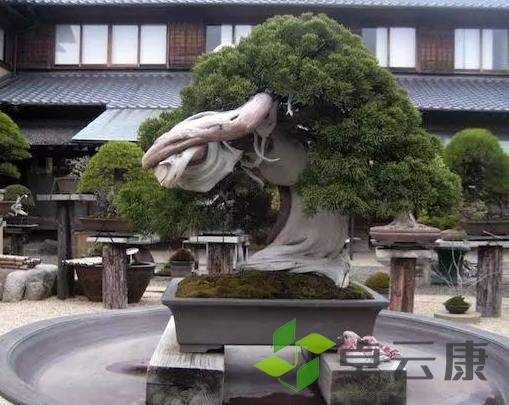 360截图20221203214900076