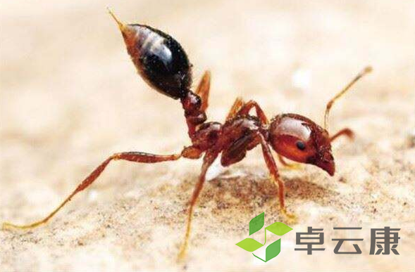 微信截图_20221203215657