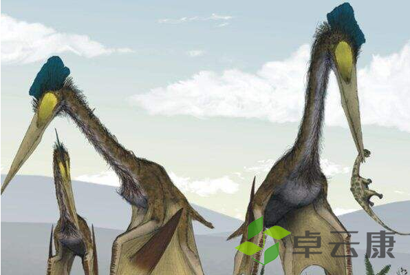 微信截图_20221203220105