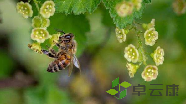 微信截图_20221203223503