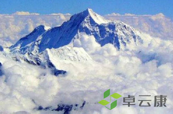 微信截图_20221203232206