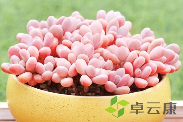 360截图20221204094923815