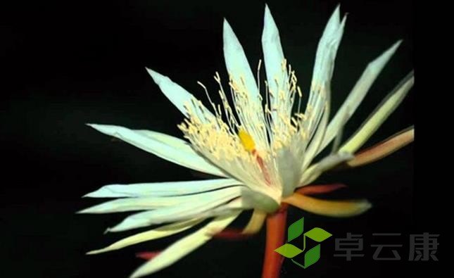 360截图20221204095831986