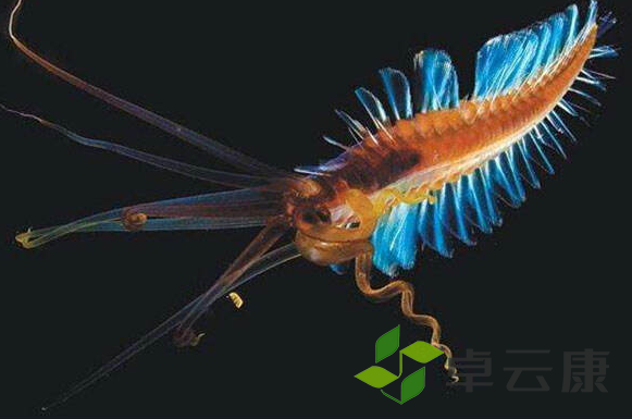 微信截图_20221204104242
