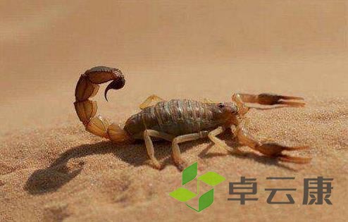 360截图20221204104502429