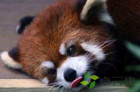 微信截图_20221204110814