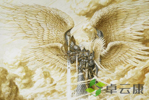 微信截图_20221204112325