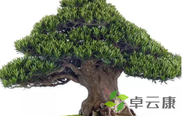 微信截图_20221204112852