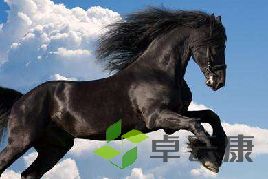 QQ截图20221204114726
