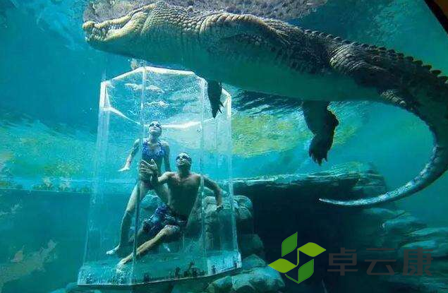 微信截图_20221204120815