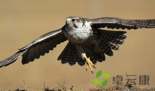 微信截图_20221204123450
