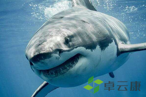 微信截图_20221204140901