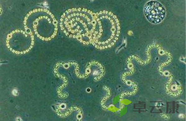 微信截图_20221204141052