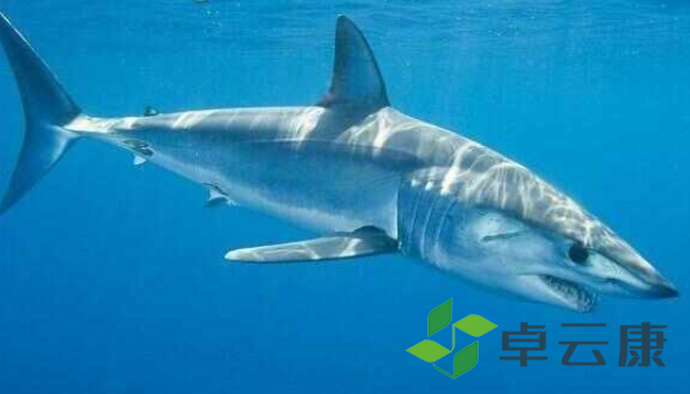 微信截图_20221204145536