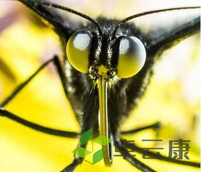 微信截图_20221204175545