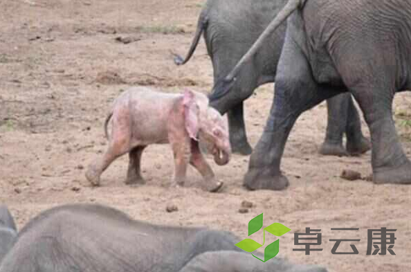 微信截图_20221204184009