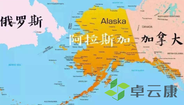 微信截图_20221204184516