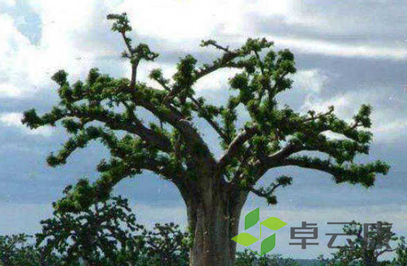 微信截图_20221204190217