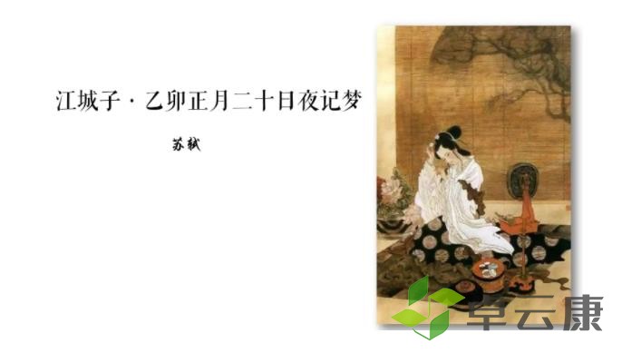 360截图20221204195314174
