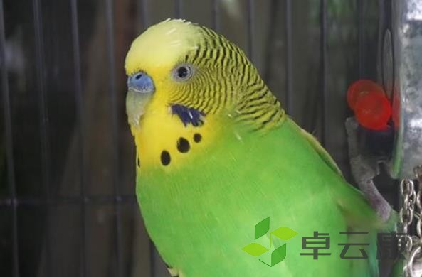 360截图20221204204200718
