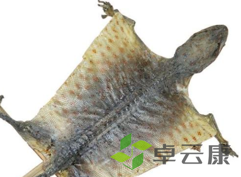 QQ截图20221204212025