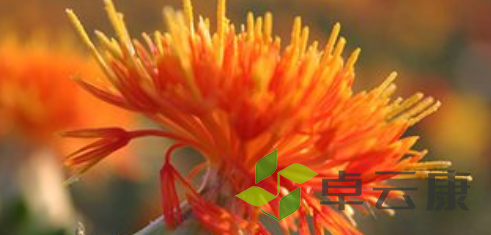 QQ截图20221204213525