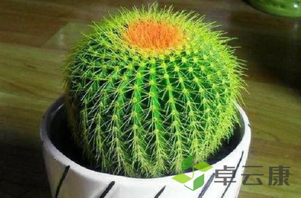 360截图20221204214024313