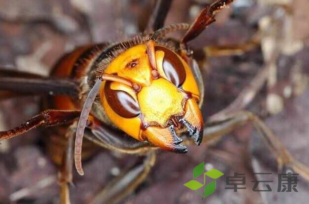 微信截图_20221204214823