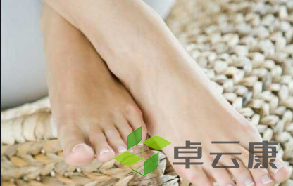 QQ截图20221204215146