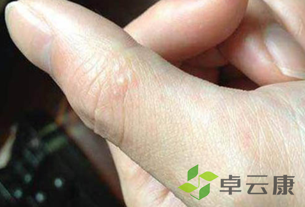QQ截图20221204215854