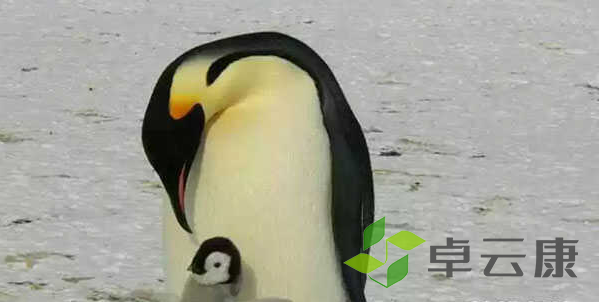 微信截图_20221204220001