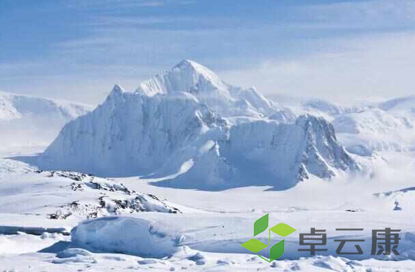 微信截图_20221204234641
