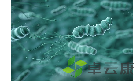 微信截图_20221204094044