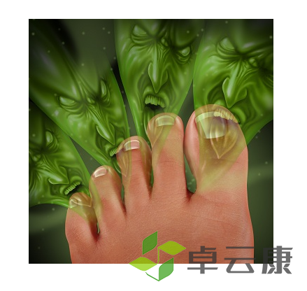 微信截图_20221204094044