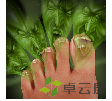 微信截图_20221204094044
