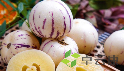 QQ截图20221205105157