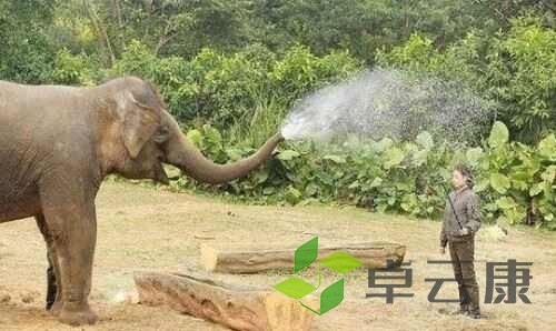 微信图片_20221205112715