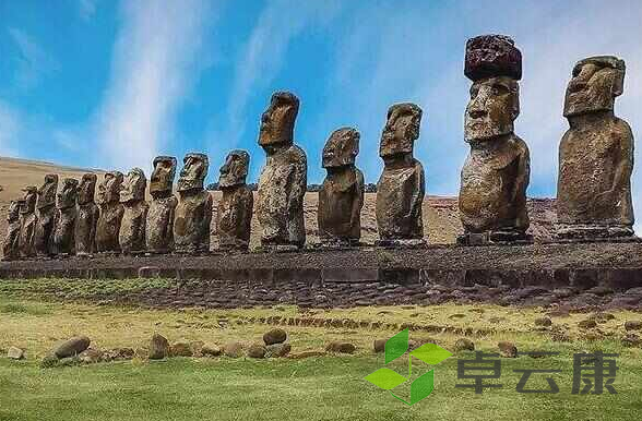 微信截图_20221205135724