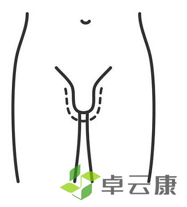 微信截图_20221204094044