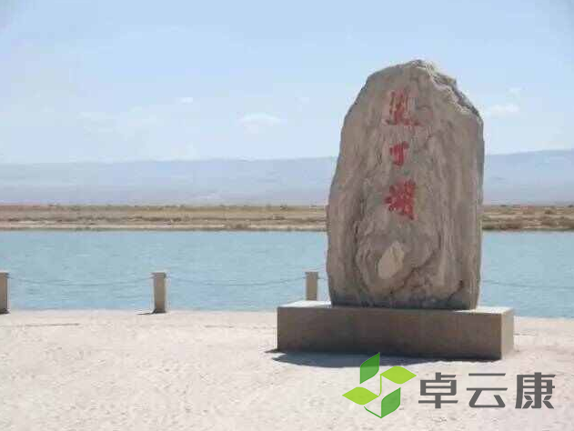 微信截图_20221205152256
