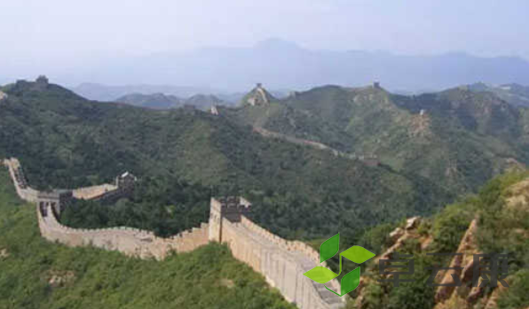 微信截图_20221205154652