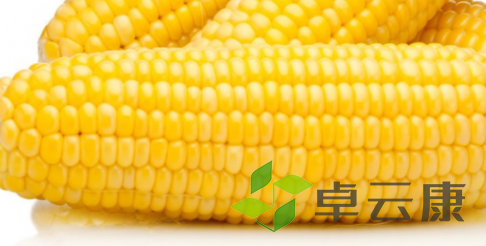 QQ截图20221205160814