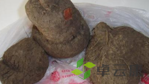 QQ截图20221205162010