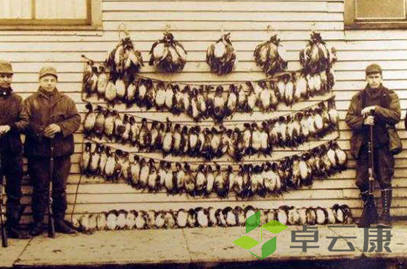 微信截图_20221205162556