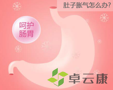 QQ截图20221205170231