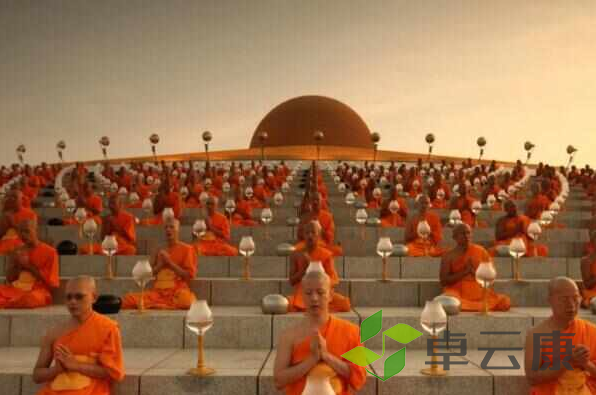 微信截图_20221205172454