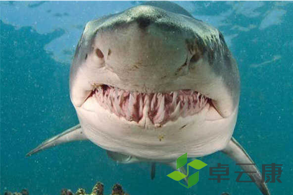 微信截图_20221205180914