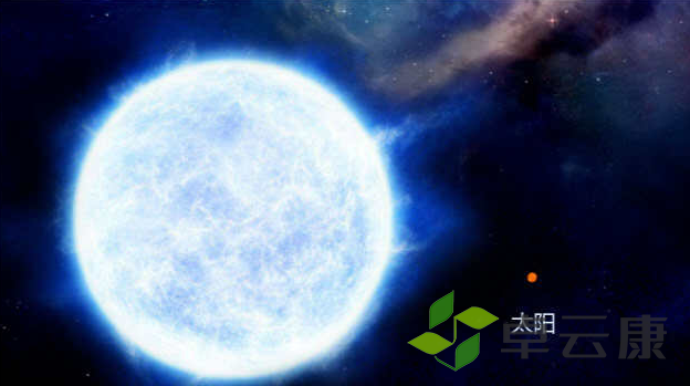 微信截图_20221205183130