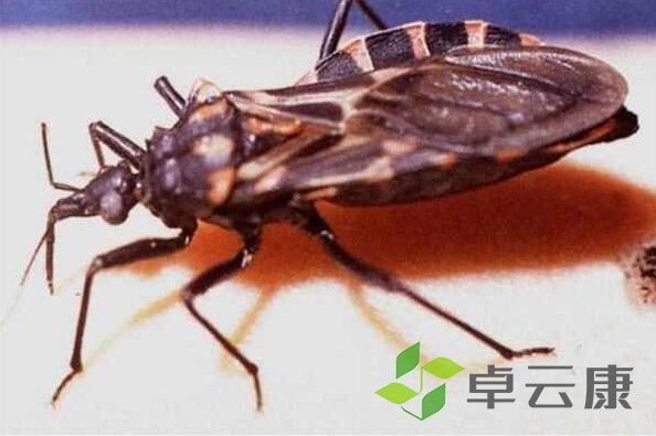 微信截图_20221205184136